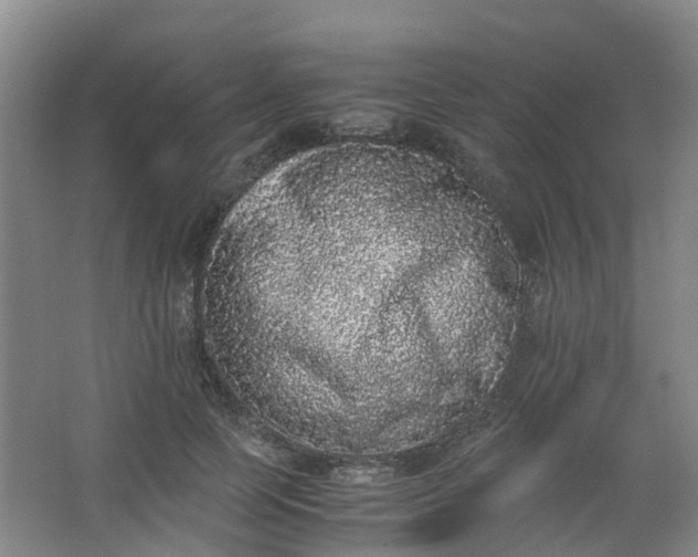 X0000062930745200601271831