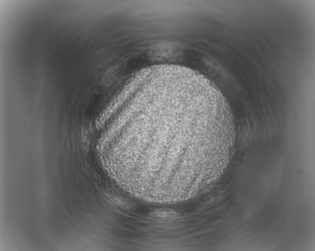 X0000062930749200601271831