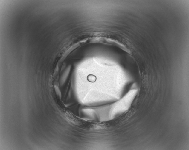 X0000062930750200601271831