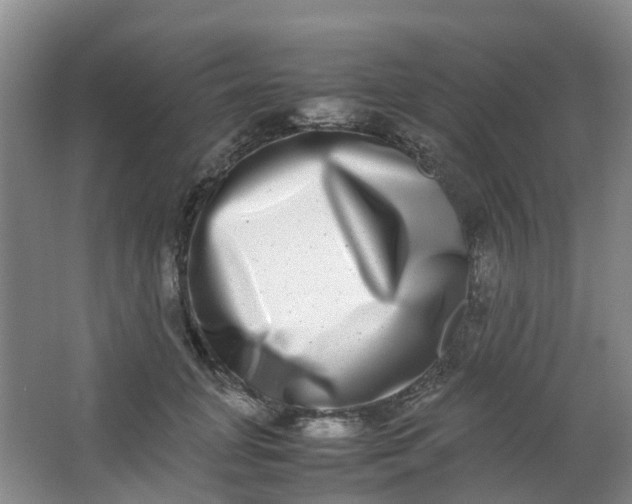 X0000062930751200601271831