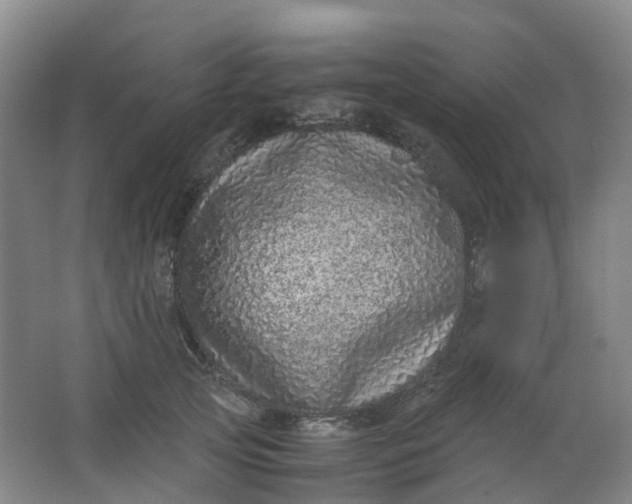 X0000062930753200601271831