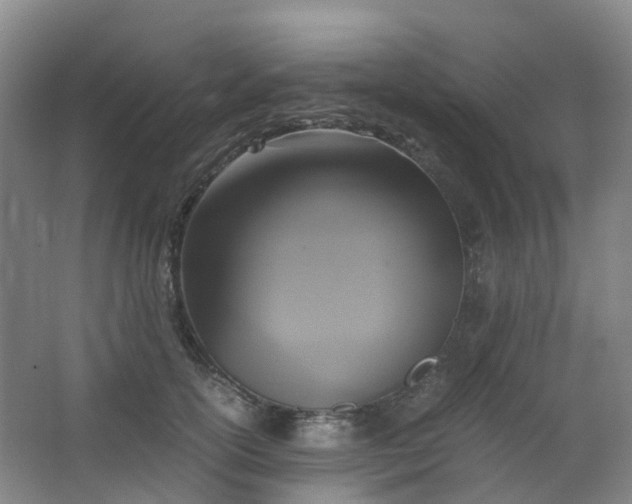 X0000062930754200601271831