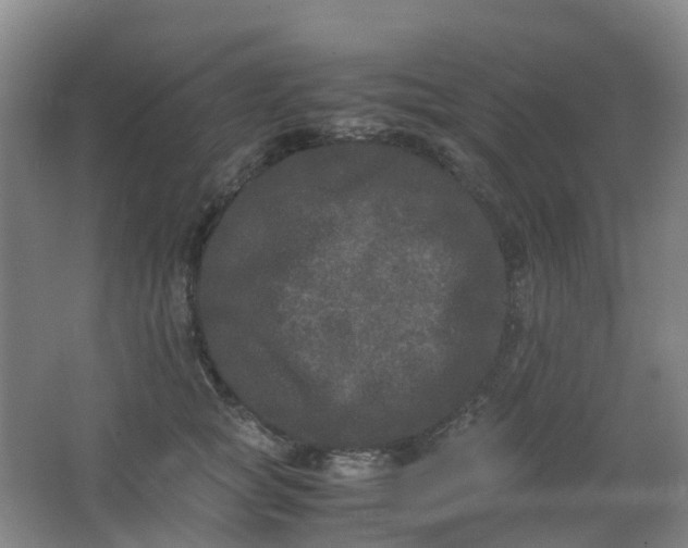 X0000062930757200601271832