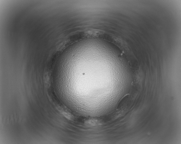 X0000062930759200601271832