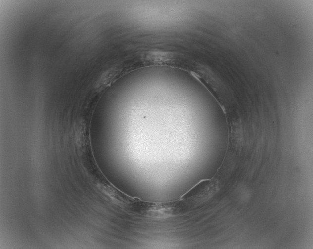 X0000062930760200601271832