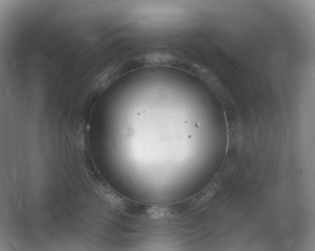 X0000062930762200601271832