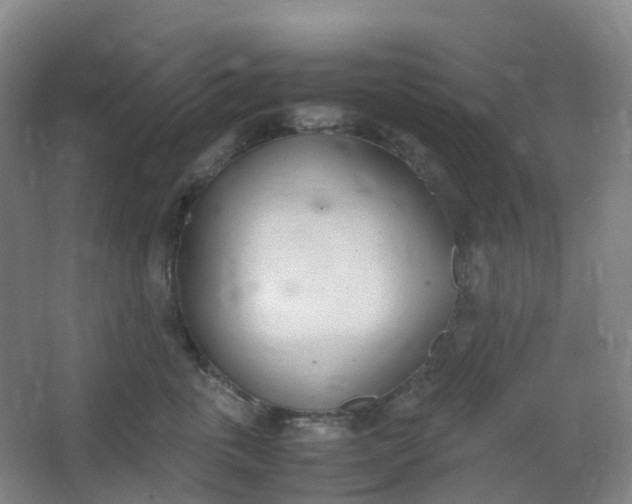 X0000062930763200601271832