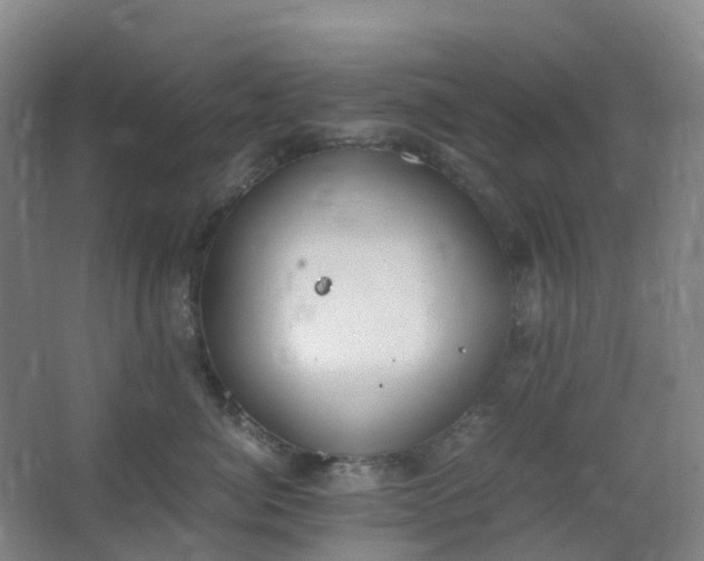 X0000062930764200601271832