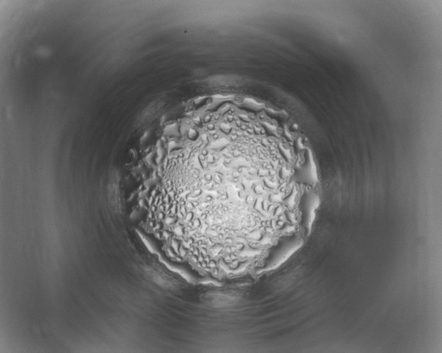 X0000062930765200601271832