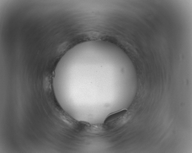 X0000062930768200601271832