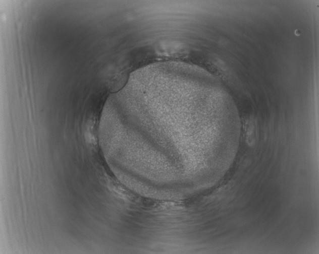 X0000062930770200601271831