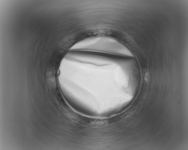 X0000062930771200601271831