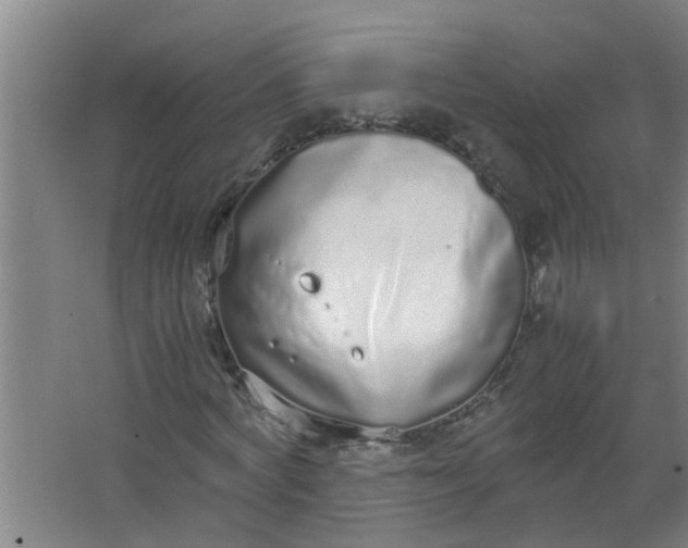 X0000062930772200601271831