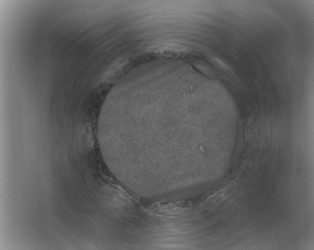 X0000062930774200601271831