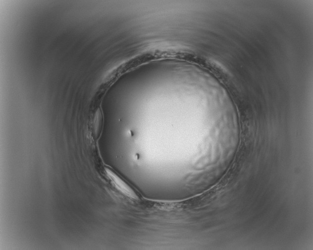 X0000062930775200601271831