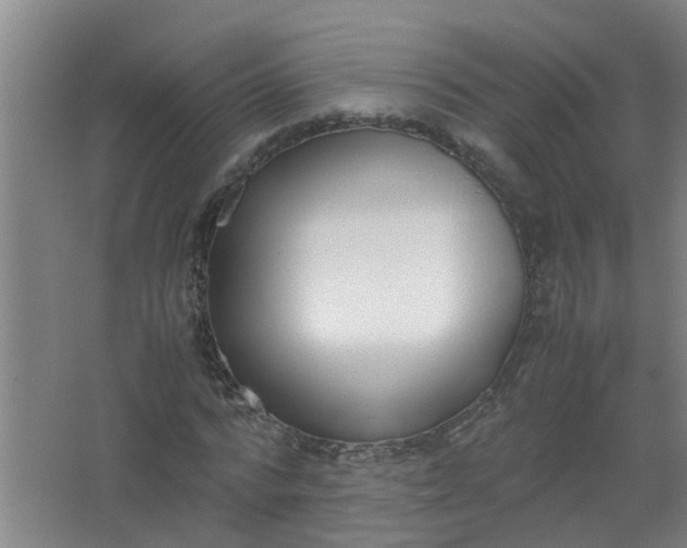 X0000062930776200601271831