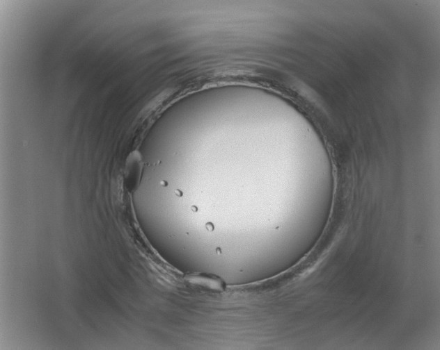 X0000062930777200601271831