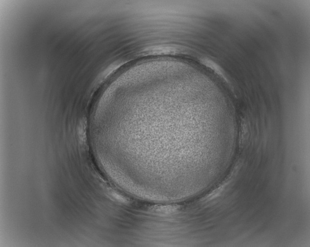 X0000062930778200601271831