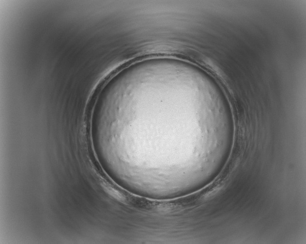 X0000062930779200601271831