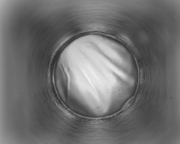 X0000062930780200601271831