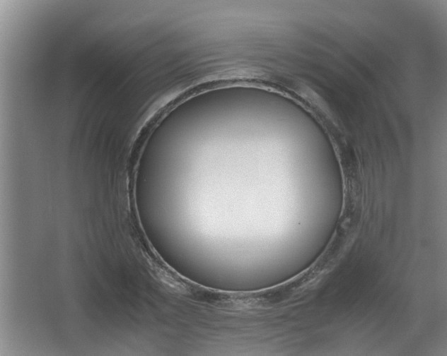 X0000062930781200601271831