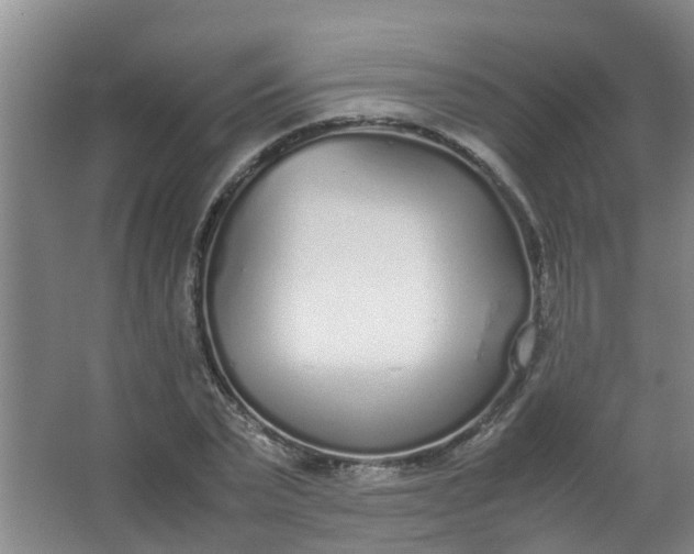 X0000062930783200601271831