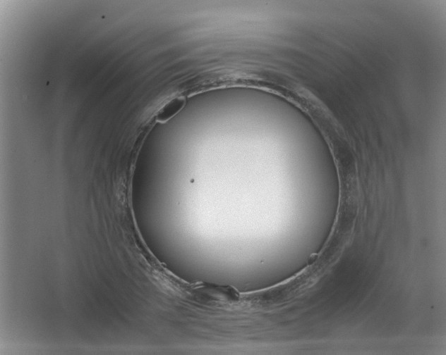 X0000062930785200601271831