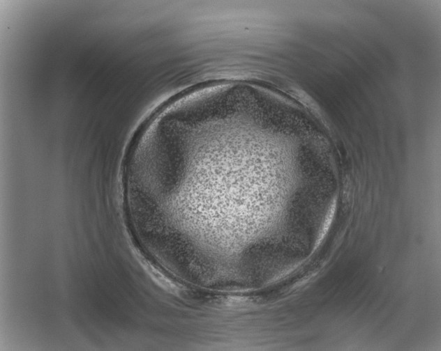 X0000062930787200601271831