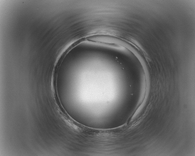 X0000062930788200601271831