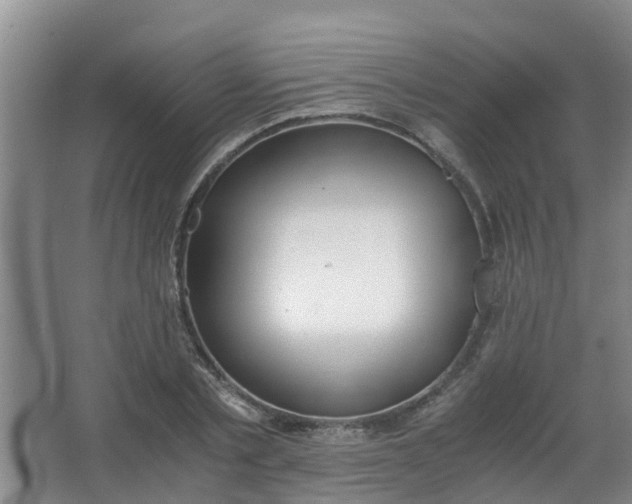 X0000062930789200601271831