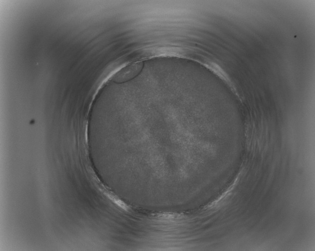 X0000062930790200601271831