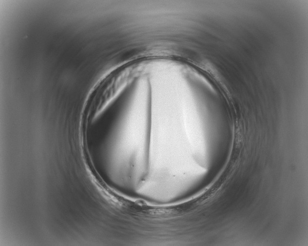 X0000062930795200601271830