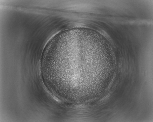 X0000062930798200601271830