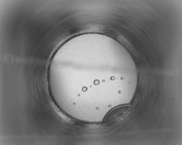 X0000062930800200601271830