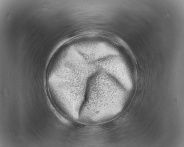 X0000062930811200601271830