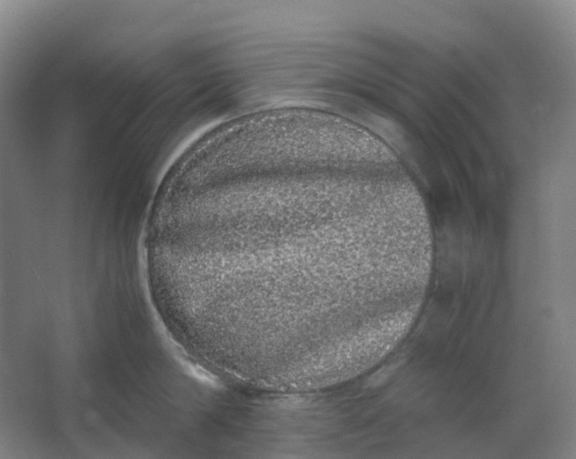 X0000062930814200601271830