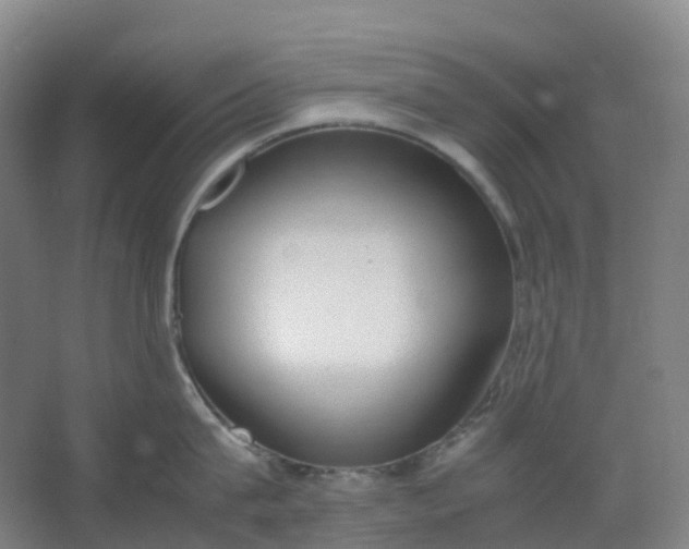 X0000062930815200601271830