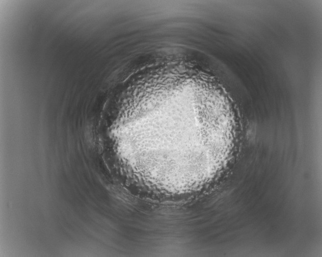 X0000062930819200601271829