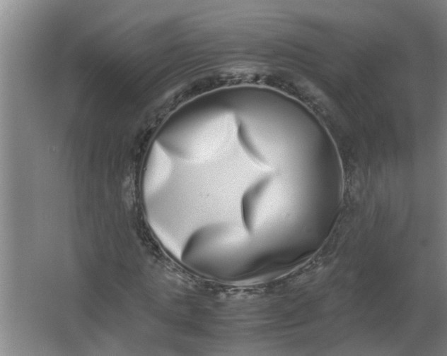 X0000062930821200601271829