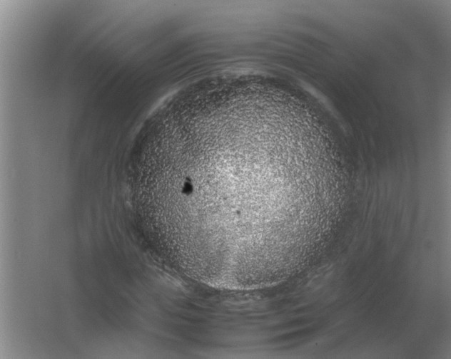 X0000062930823200601271829