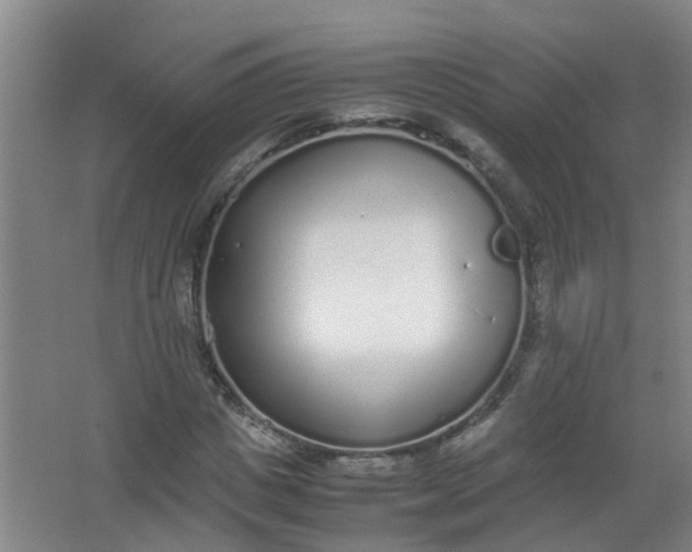 X0000062930825200601271829