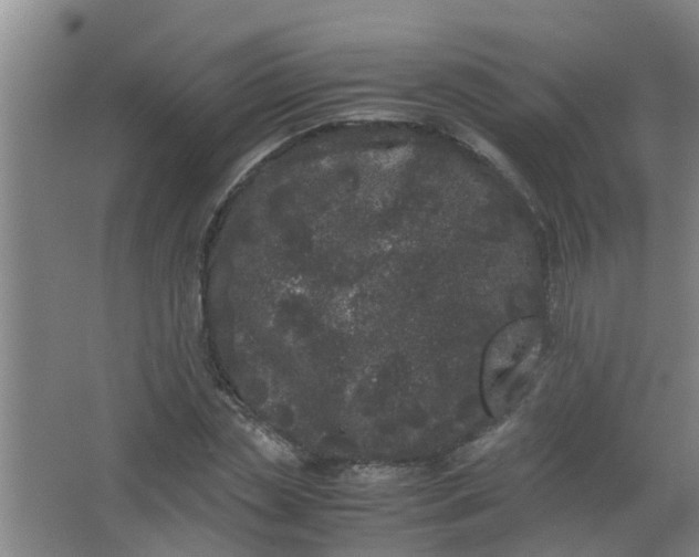 X0000062930829200601271830