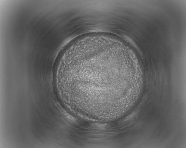 X0000062930831200601271830