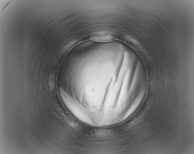 X0000062930833200601271830