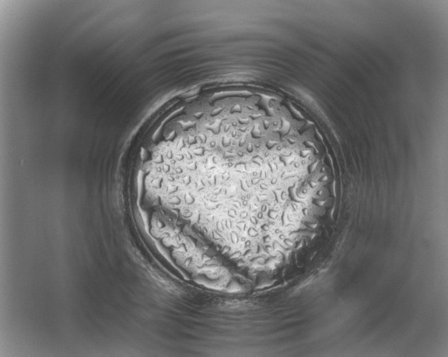 X0000062930835200601271830