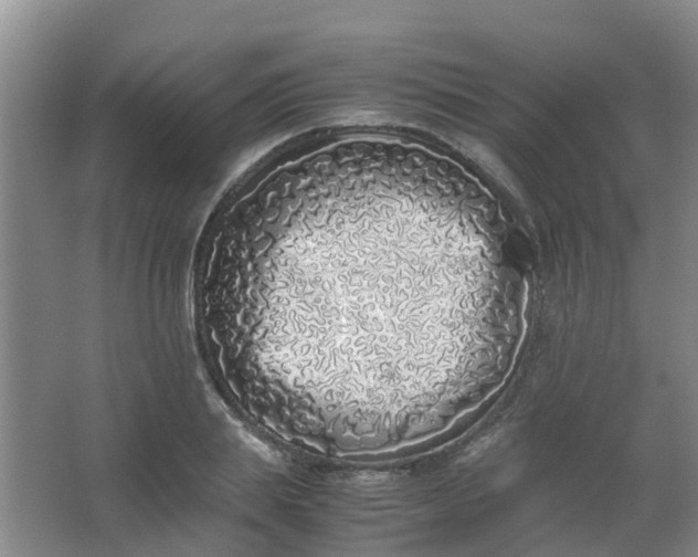 X0000062930839200601271830