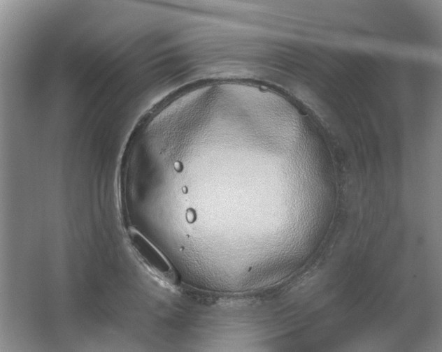 X0000062930840200601271830