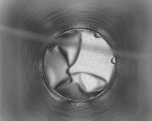 X0000062930841200601271830