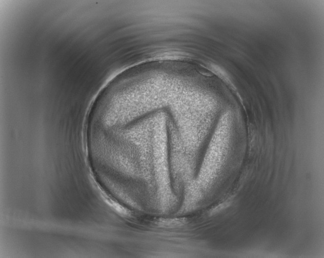 X0000062930843200601271830