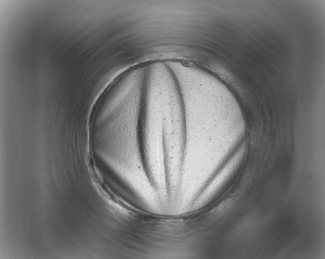 X0000062930844200601271830